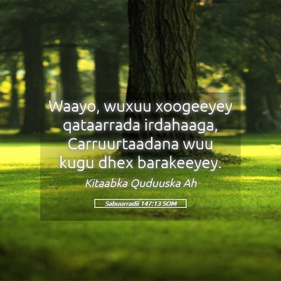 Picture 05 - Sabuurradii 147:13 SOM - Waayo, wuxuu xoogeeyey qataarrada irdahaaga, - Bible Verse Picture
