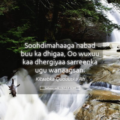 Picture 05 - Sabuurradii 147:14 SOM - Soohdimahaaga nabad buu ka dhigaa, Oo wuxuu kaa - Bible Verse Picture