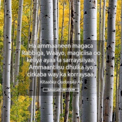 Picture 05 - Sabuurradii 148:13 SOM - Ha ammaaneen magaca Rabbiga, Waayo, magiciisa oo - Bible Verse Picture