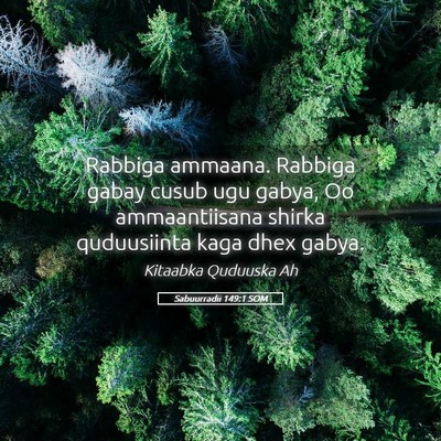 Picture 05 - Sabuurradii 149:1 SOM - Rabbiga ammaana. Rabbiga gabay cusub ugu gabya, - Bible Verse Picture