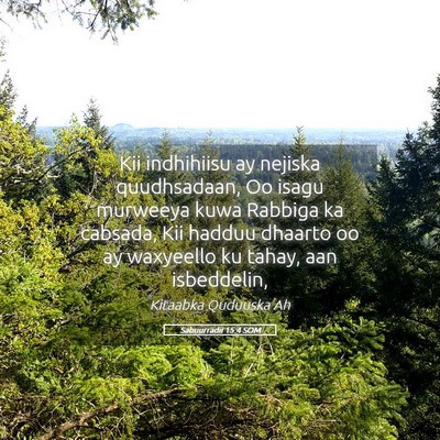 Picture 05 - Sabuurradii 15:4 SOM - Kii indhihiisu ay nejiska quudhsadaan, Oo isagu - Bible Verse Picture