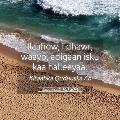 Picture 05 - Sabuurradii 16:1 SOM - Ilaahow, i dhawr, waayo, adigaan isku kaa - Bible Verse Picture
