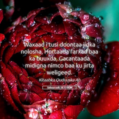 Picture 05 - Sabuurradii 16:11 SOM - Waxaad i tusi doontaa jidka nolosha, Hortaada - Bible Verse Picture