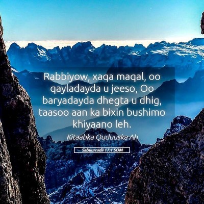 Picture 05 - Sabuurradii 17:1 SOM - Rabbiyow, xaqa maqal, oo qayladayda u jeeso, Oo - Bible Verse Picture