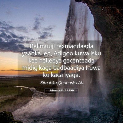 Picture 05 - Sabuurradii 17:7 SOM - Bal muuji raxmaddaada yaabka leh, Adigoo kuwa - Bible Verse Picture
