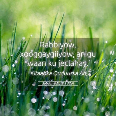 Picture 05 - Sabuurradii 18:1 SOM - Rabbiyow, xooggaygiiyow, anigu waan ku - Bible Verse Picture