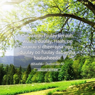 Picture 05 - Sabuurradii 18:10 SOM - Oo wuxuu fuulay keruub, wuuna duulay, Haah, oo - Bible Verse Picture