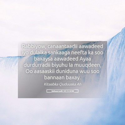 Picture 05 - Sabuurradii 18:15 SOM - Rabbiyow, canaantaadii aawadeed iyo dulalka - Bible Verse Picture