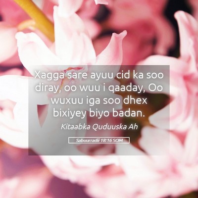 Picture 05 - Sabuurradii 18:16 SOM - Xagga sare ayuu cid ka soo diray, oo wuu i - Bible Verse Picture