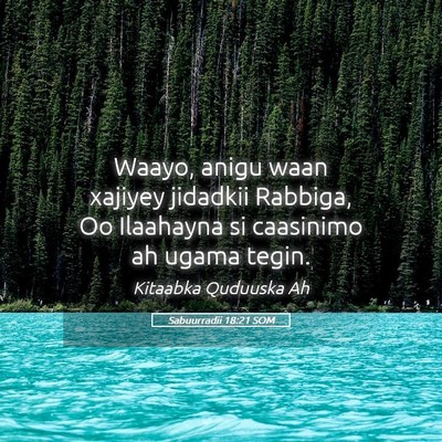 Picture 05 - Sabuurradii 18:21 SOM - Waayo, anigu waan xajiyey jidadkii Rabbiga, Oo - Bible Verse Picture