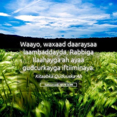 Picture 05 - Sabuurradii 18:28 SOM - Waayo, waxaad daaraysaa laambaddayda, Rabbiga - Bible Verse Picture