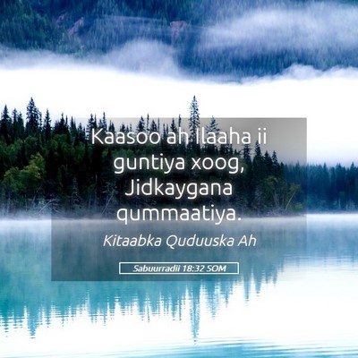 Picture 05 - Sabuurradii 18:32 SOM - Kaasoo ah Ilaaha ii guntiya xoog, Jidkaygana - Bible Verse Picture