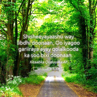 Picture 05 - Sabuurradii 18:45 SOM - Shisheeyayaashu way libdhi doonaan, Oo iyagoo - Bible Verse Picture