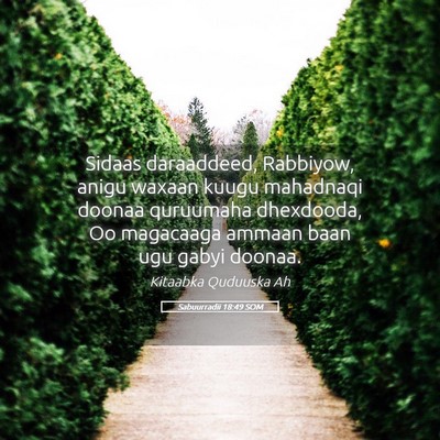 Picture 05 - Sabuurradii 18:49 SOM - Sidaas daraaddeed, Rabbiyow, anigu waxaan kuugu - Bible Verse Picture