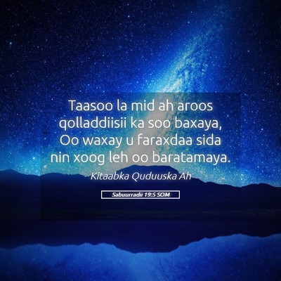 Picture 05 - Sabuurradii 19:5 SOM - Taasoo la mid ah aroos qolladdiisii ka soo - Bible Verse Picture