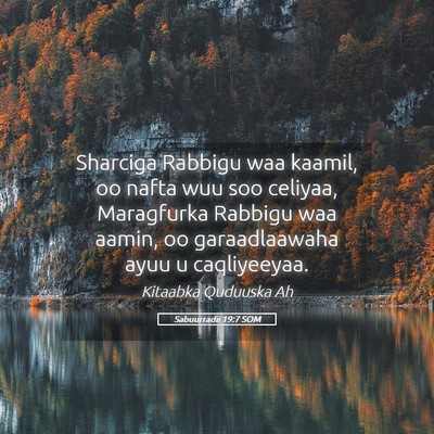 Picture 05 - Sabuurradii 19:7 SOM - Sharciga Rabbigu waa kaamil, oo nafta wuu soo - Bible Verse Picture
