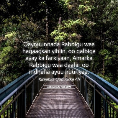 Picture 05 - Sabuurradii 19:8 SOM - Qaynuunnada Rabbigu waa hagaagsan yihiin, oo - Bible Verse Picture