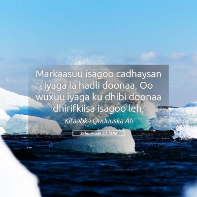 Picture 05 - Sabuurradii 2:5 SOM - Markaasuu isagoo cadhaysan iyaga la hadli doonaa, - Bible Verse Picture