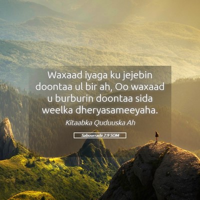 Picture 05 - Sabuurradii 2:9 SOM - Waxaad iyaga ku jejebin doontaa ul bir ah, Oo - Bible Verse Picture