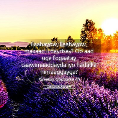 Picture 05 - Sabuurradii 22:1 SOM - Ilaahayow, Ilaahayow, maxaad ii dayrisay? Oo aad - Bible Verse Picture