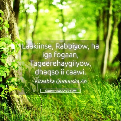 Picture 05 - Sabuurradii 22:19 SOM - Laakiinse, Rabbiyow, ha iga fogaan, - Bible Verse Picture