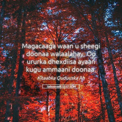 Picture 05 - Sabuurradii 22:22 SOM - Magacaaga waan u sheegi doonaa walaalahay, Oo - Bible Verse Picture
