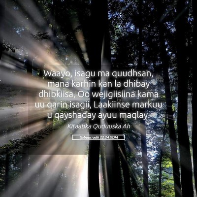 Picture 05 - Sabuurradii 22:24 SOM - Waayo, isagu ma quudhsan, mana karhin kan la - Bible Verse Picture