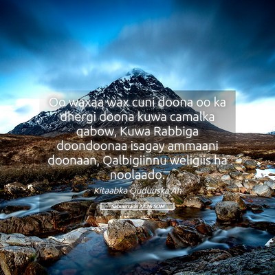 Picture 05 - Sabuurradii 22:26 SOM - Oo waxaa wax cuni doona oo ka dhergi doona kuwa - Bible Verse Picture