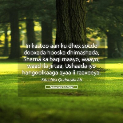 Picture 05 - Sabuurradii 23:4 SOM - In kastoo aan ku dhex socdo dooxada hooska - Bible Verse Picture