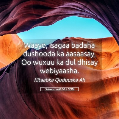 Picture 05 - Sabuurradii 24:2 SOM - Waayo, isagaa badaha dushooda ka aasaasay, Oo - Bible Verse Picture