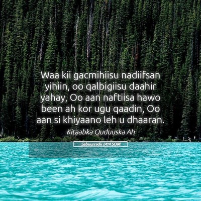 Picture 05 - Sabuurradii 24:4 SOM - Waa kii gacmihiisu nadiifsan yihiin, oo - Bible Verse Picture