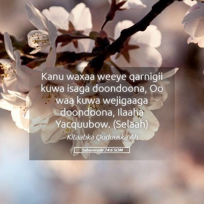 Picture 05 - Sabuurradii 24:6 SOM - Kanu waxaa weeye qarnigii kuwa isaga doondoona, - Bible Verse Picture
