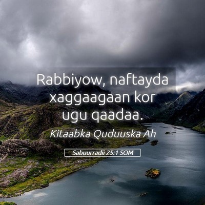 Picture 05 - Sabuurradii 25:1 SOM - Rabbiyow, naftayda xaggaagaan kor ugu - Bible Verse Picture