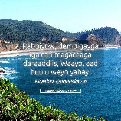 Picture 05 - Sabuurradii 25:11 SOM - Rabbiyow, dembigayga iga cafi magacaaga - Bible Verse Picture