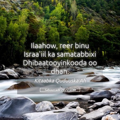 Picture 05 - Sabuurradii 25:22 SOM - Ilaahow, reer binu Israa'iil ka samatabbixi - Bible Verse Picture