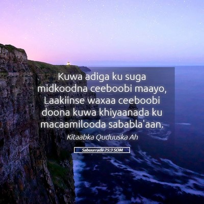 Picture 05 - Sabuurradii 25:3 SOM - Kuwa adiga ku suga midkoodna ceeboobi maayo, - Bible Verse Picture