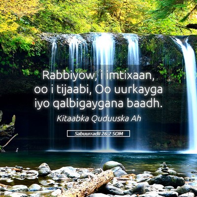 Picture 05 - Sabuurradii 26:2 SOM - Rabbiyow, i imtixaan, oo i tijaabi, Oo uurkayga - Bible Verse Picture