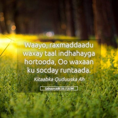 Picture 05 - Sabuurradii 26:3 SOM - Waayo, raxmaddaadu waxay taal indhahayga - Bible Verse Picture