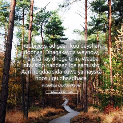 Picture 05 - Sabuurradii 28:1 SOM - Rabbiyow, adigaan kuu qayshan doonaa, Dhagaxayga - Bible Verse Picture