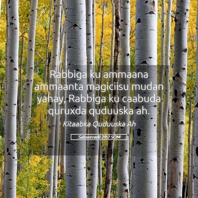 Picture 05 - Sabuurradii 29:2 SOM - Rabbiga ku ammaana ammaanta magiciisu mudan - Bible Verse Picture