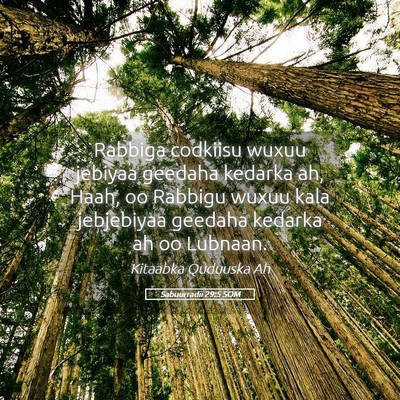 Picture 05 - Sabuurradii 29:5 SOM - Rabbiga codkiisu wuxuu jebiyaa geedaha kedarka - Bible Verse Picture