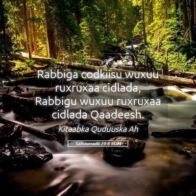 Picture 05 - Sabuurradii 29:8 SOM - Rabbiga codkiisu wuxuu ruxruxaa cidlada, Rabbigu - Bible Verse Picture