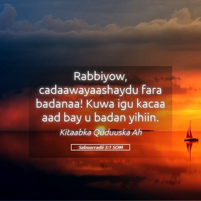 Picture 05 - Sabuurradii 3:1 SOM - Rabbiyow, cadaawayaashaydu fara badanaa! Kuwa igu - Bible Verse Picture