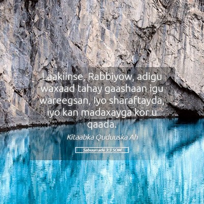 Picture 05 - Sabuurradii 3:3 SOM - Laakiinse, Rabbiyow, adigu waxaad tahay gaashaan - Bible Verse Picture