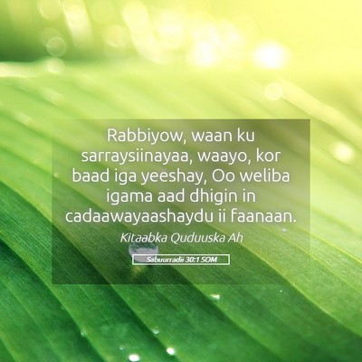 Picture 05 - Sabuurradii 30:1 SOM - Rabbiyow, waan ku sarraysiinayaa, waayo, kor baad - Bible Verse Picture