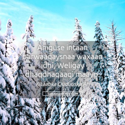 Picture 05 - Sabuurradii 30:6 SOM - Aniguse intaan barwaaqaysnaa waxaan idhi, Weligay - Bible Verse Picture