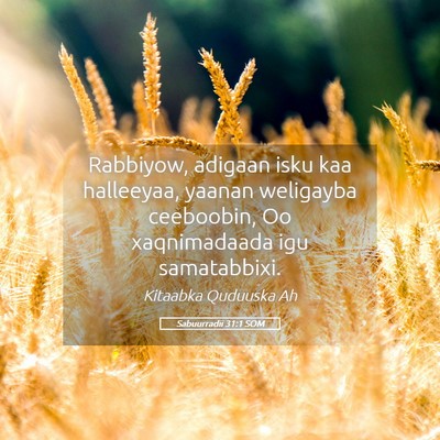 Picture 05 - Sabuurradii 31:1 SOM - Rabbiyow, adigaan isku kaa halleeyaa, yaanan - Bible Verse Picture