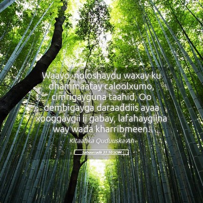 Picture 05 - Sabuurradii 31:10 SOM - Waayo, noloshaydu waxay ku dhammaatay caloolxumo, - Bible Verse Picture