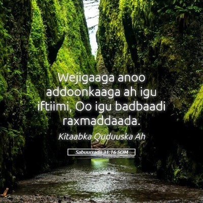 Picture 05 - Sabuurradii 31:16 SOM - Wejigaaga anoo addoonkaaga ah igu iftiimi, Oo igu - Bible Verse Picture