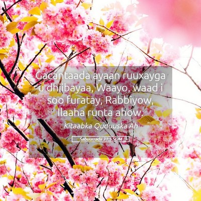 Picture 05 - Sabuurradii 31:5 SOM - Gacantaada ayaan ruuxayga u dhiibayaa, Waayo, - Bible Verse Picture
